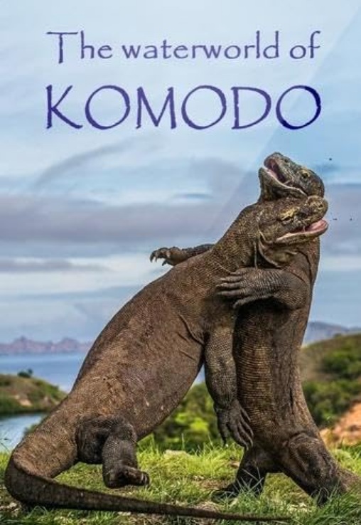 THE WATERWORLD OF KOMODO