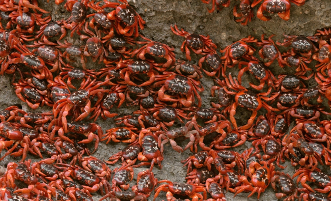 1-10