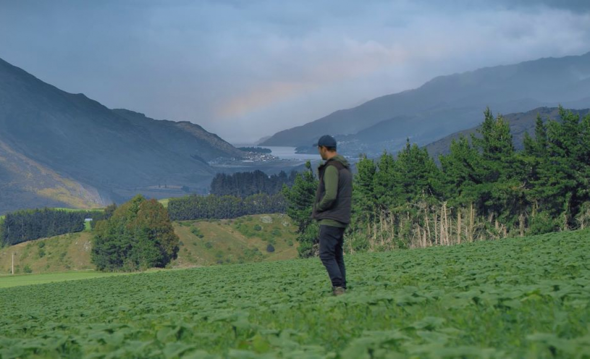 still 4