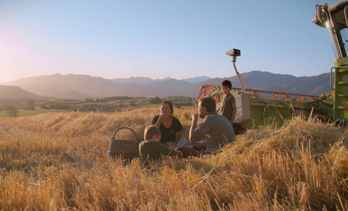 still 5