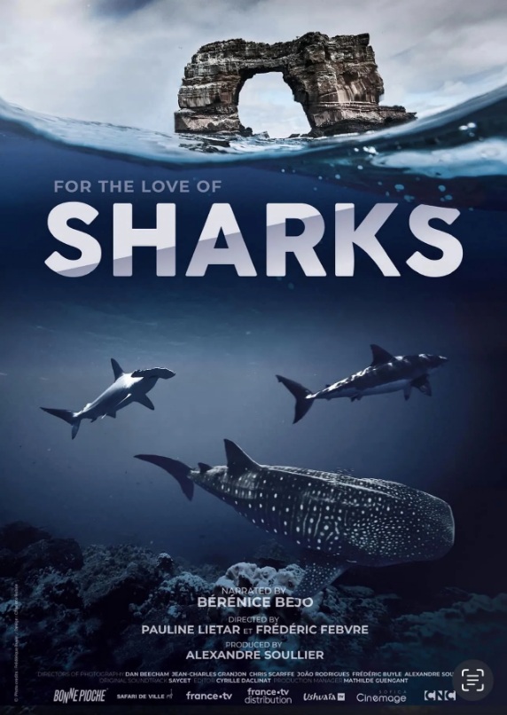 FOR THE LOVE OF SHARKS