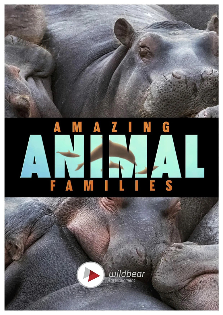 Amazing Animal Families