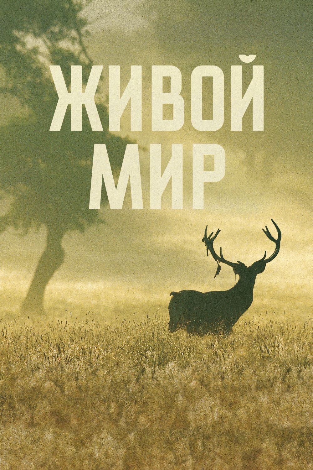 ЖИВОЙ МИР