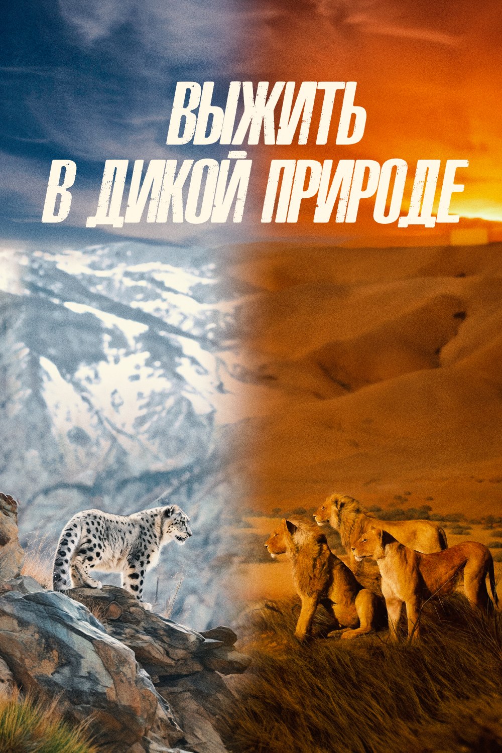 Выжить в дикой природе