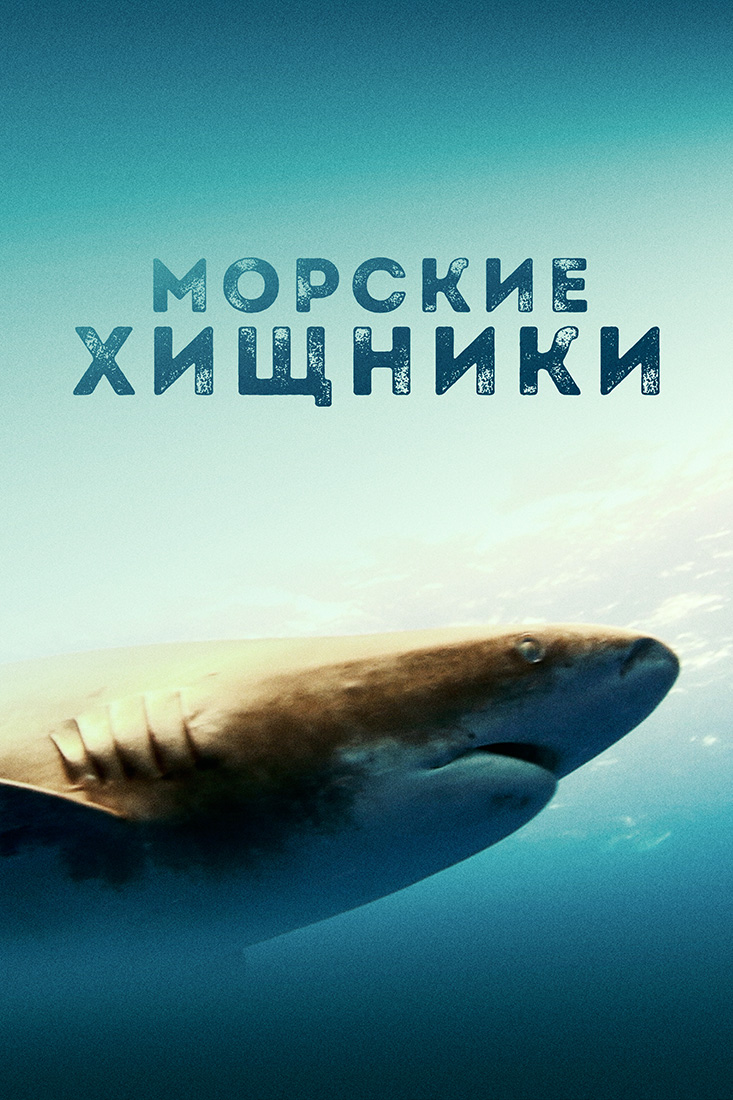 МОРСКИЕ ХИЩНИКИ