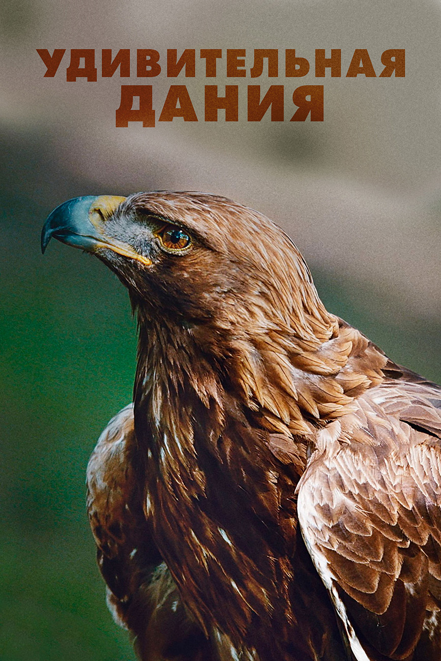 Удивительная Дания